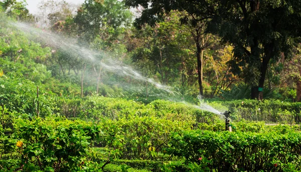 Дощовиків води в сад газон на Сонячний літній день — стокове фото