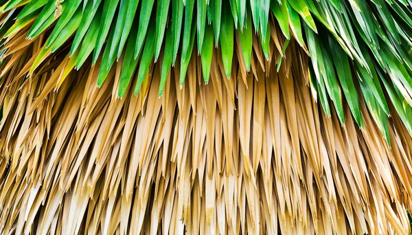 Nipa blad door boom in de natuur voor achtergrond — Stockfoto