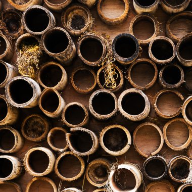 Bambu çit için arka plan ve doku doğa tarafından