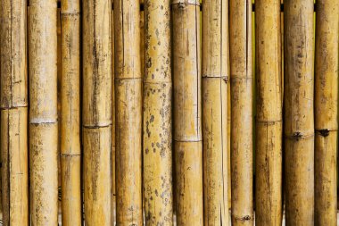 Bambu çit için arka plan ve doku doğa tarafından