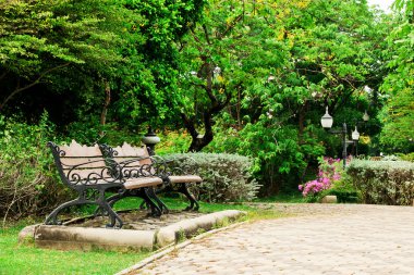 Tayland bir parkta ormanda Bench