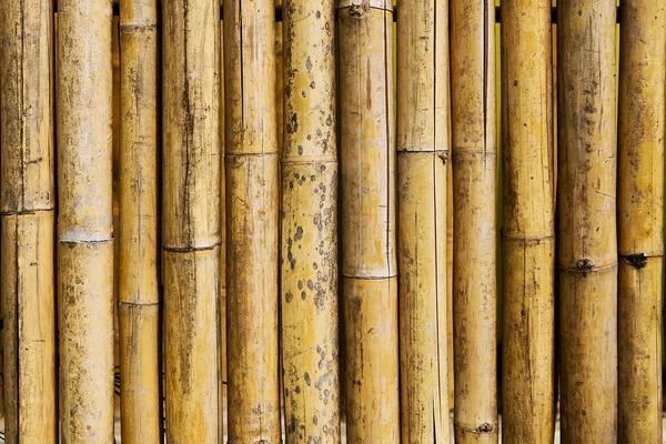 Bamboo fence by nature for background and texture — Stock Photo, Image