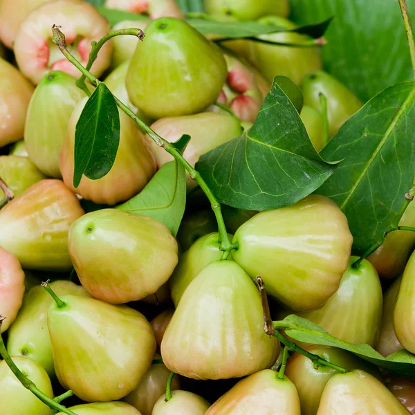 Grüne Rosenapfel (Chomphu) Frucht und Blatt auf Hintergrund — Stockfoto