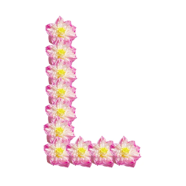 Schöne Lotusblume (Lotusblume isoliert auf weißem Hintergrund) — Stockfoto