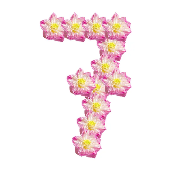 Красивый лотос (цветок лотоса изолирован на белом фоне ) — стоковое фото