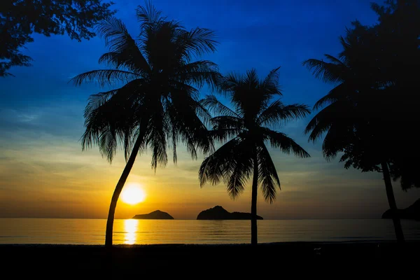 Salida del sol en el mar con islas y cocoteros . — Foto de Stock