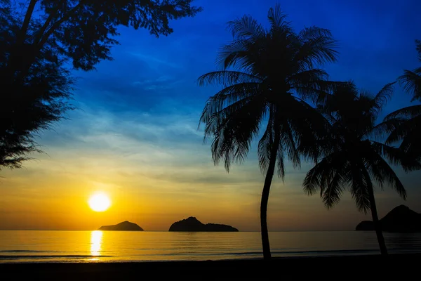 Salida del sol en el mar con islas y cocoteros . — Foto de Stock