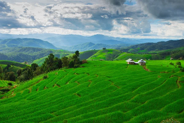 Заборона Papongpieng рисові тераси, Чіанг маи, на північ Таїланду — стокове фото