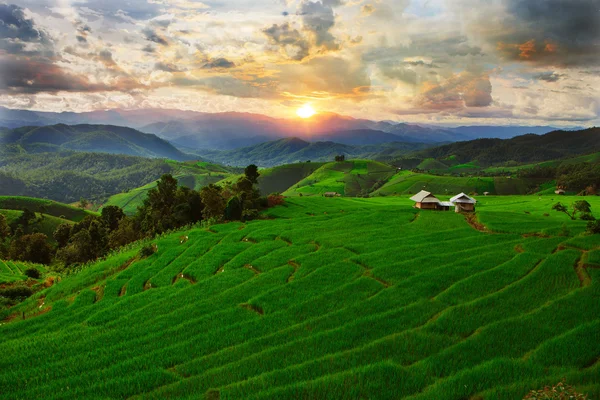 Sunset Ban Papongpieng Rice Terraces, Chiang Mai, North of Thail — Stock Photo, Image