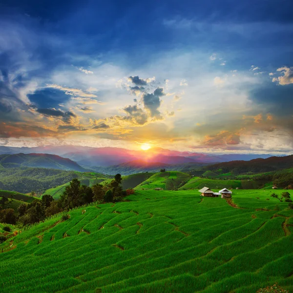 Solnedgang Ban Papongpieng Rice Terraces, Chiang Mai, nord for Thail - Stock-foto