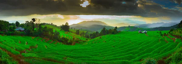 Sunset Ban Papongpieng Rice Terraces, Chiang Mai, North of Thail — Stock Photo, Image