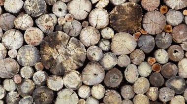 Yığınlar halinde üst üste yığılmış kuru odun kütükleri.