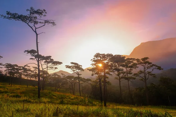 Sunrise Landscape Mountainsat Parque Nacional Phu Soi Dao Tailandia —  Fotos de Stock