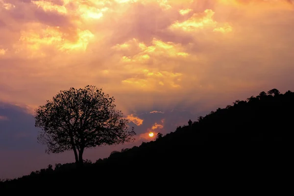 Black Shadow Trees Mountains Sunrise — Stock Photo, Image
