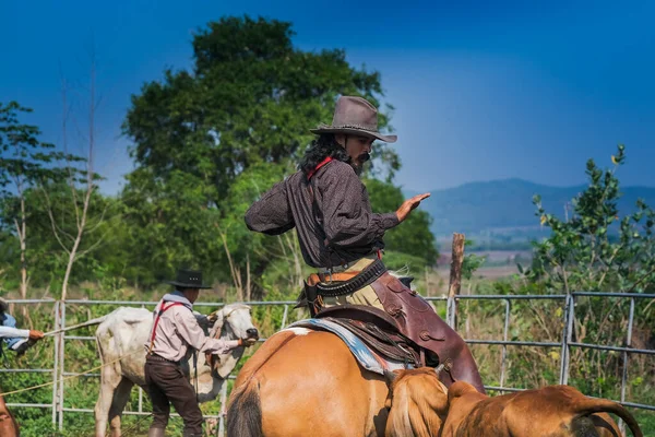 Grupp Cowboys Visar Hur Man Slår Ner Och Boskap Ett — Stockfoto