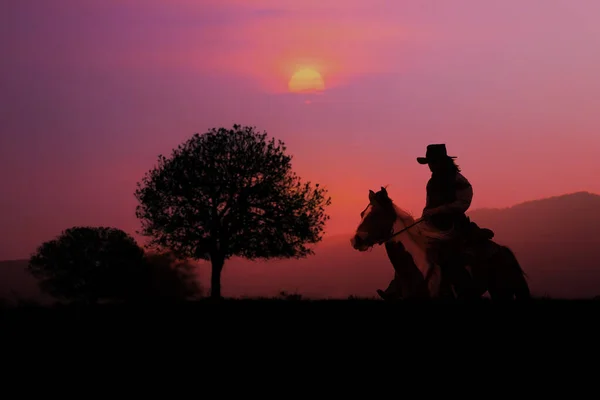 Het Silhouet Van Cowboy Ondergaande Zonsondergang — Stockfoto