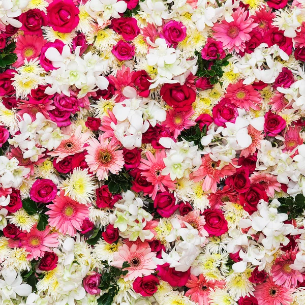 Beau fond de fleurs pour scène de mariage — Photo