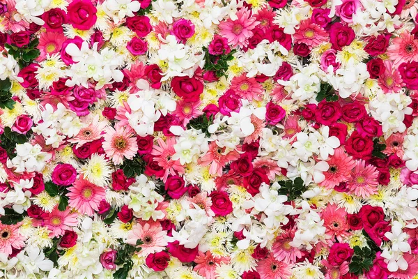Gyönyörű virágok háttér esküvői jelenet — Stock Fotó