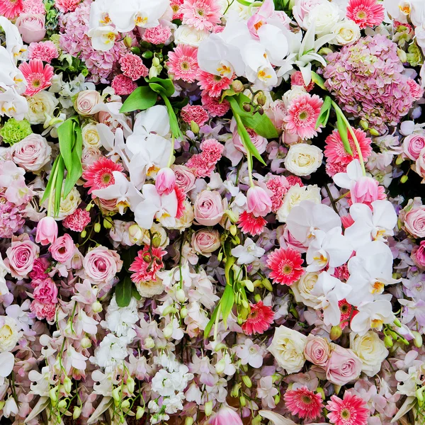 Bunch of flowers — Stock Photo, Image