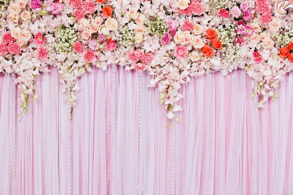 Güzel Çiçekler arka planı