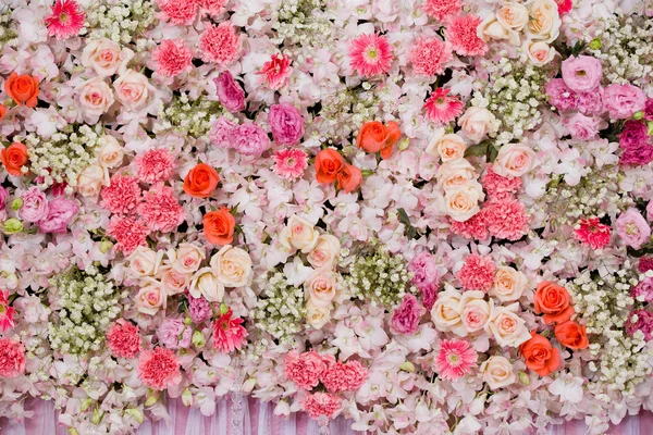 Fondo de flores hermosas —  Fotos de Stock