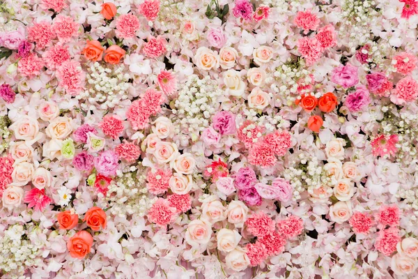 Fondo de flores hermosas —  Fotos de Stock