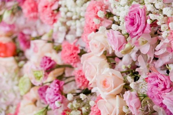 Beautiful flowers background — Stock Photo, Image