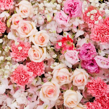 Güzel Çiçekler arka planı