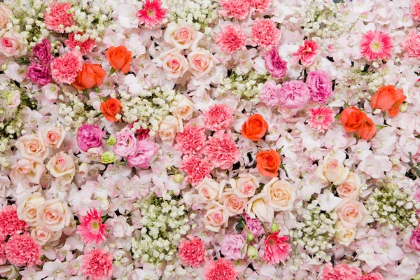 Fondo de flores hermosas —  Fotos de Stock