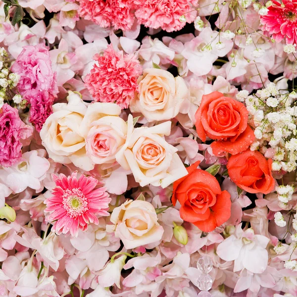 Beautiful flowers background — Stock Photo, Image