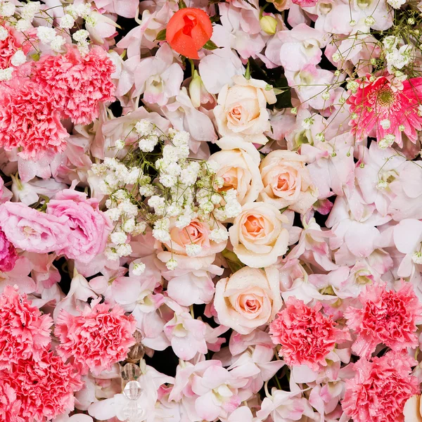 Beautiful flowers background — Stock Photo, Image