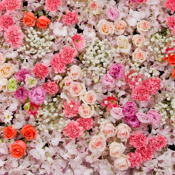 Vackra blommor bakgrund — Stockfoto