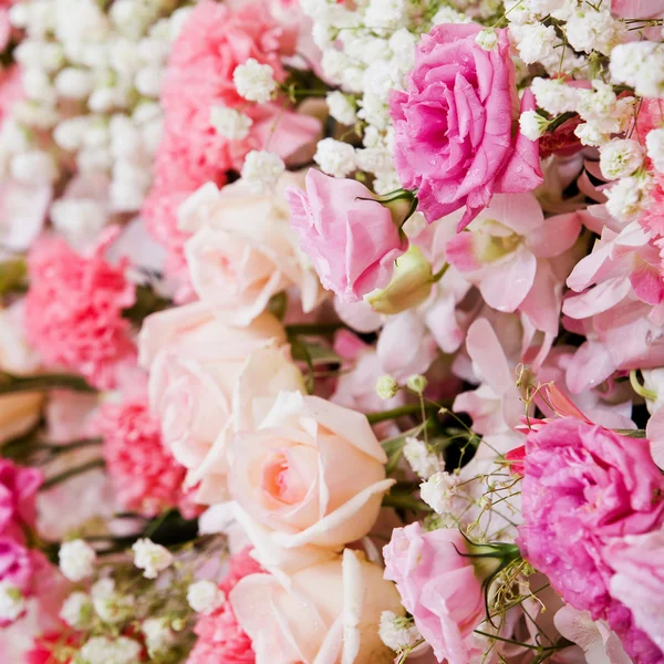 Schöne Blumen Hintergrund — Stockfoto