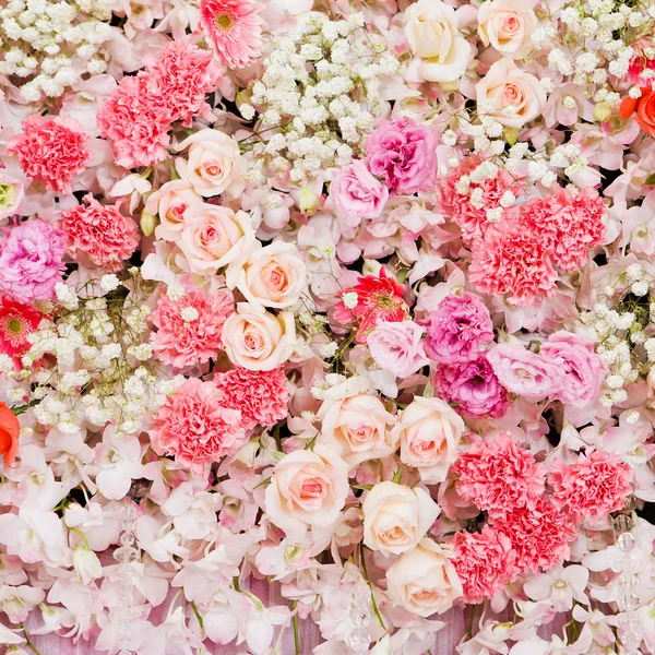 Flori frumoase fundal — Fotografie, imagine de stoc