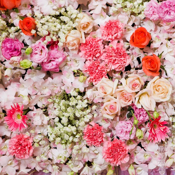 Beau fond de fleurs — Photo