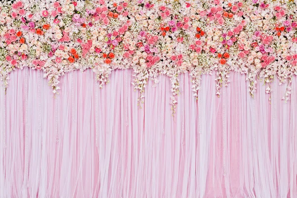 아름 다운 꽃 backgrounde — 스톡 사진