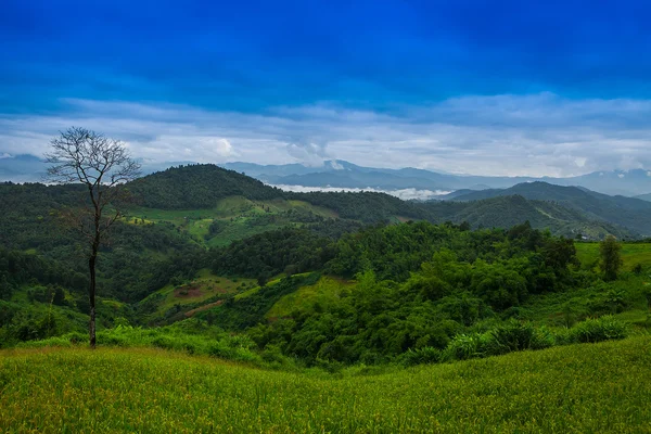 Niebla matutina y cielo . —  Fotos de Stock