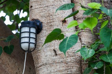 Beyaz ahşap zemin lambası