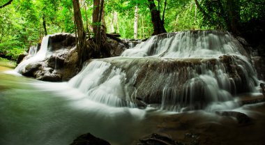 Şelale derin yağmur ormanları orman içinde. (Huay Mae Kamin Waterfall 