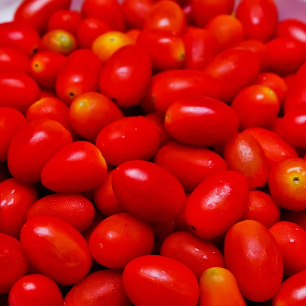 Zdjęcie bardzo świeżych pomidorów — Zdjęcie stockowe