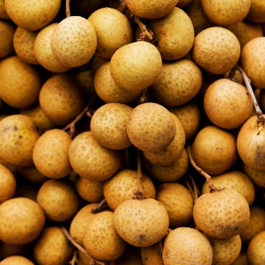 Piyasada çok taze Longan