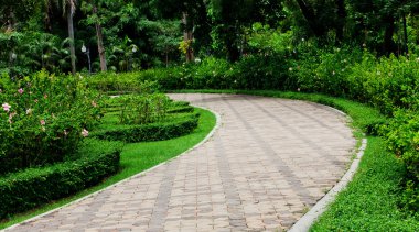 Pavement made of stone in beautiful garden clipart