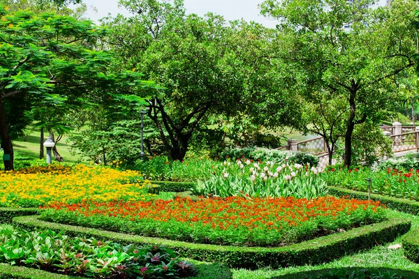 Bonito jardín de flores cuidado con colorido — Foto de Stock