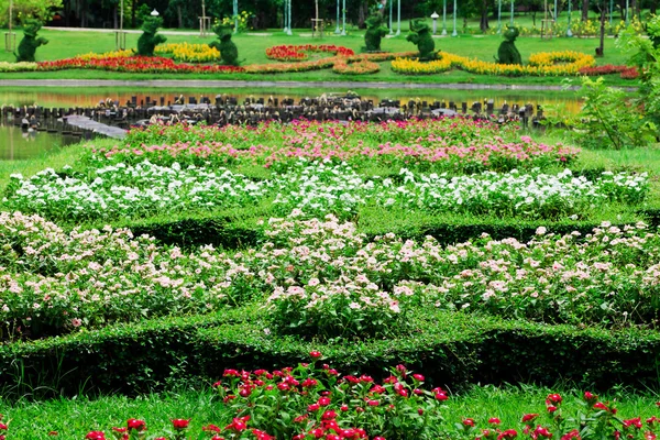 Camas de flores coloridas — Fotografia de Stock