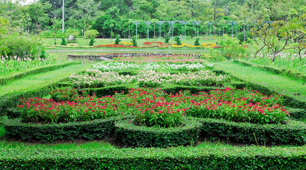 Цветные клумбы
