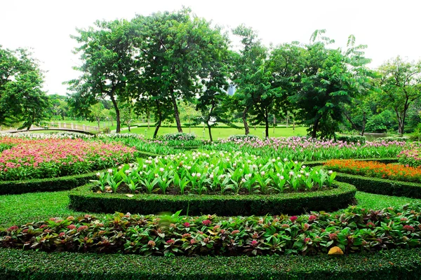 Coloridos macizos de flores —  Fotos de Stock