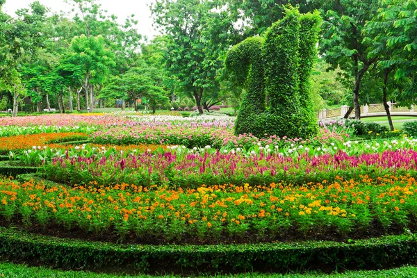 Lits de fleurs colorés — Photo