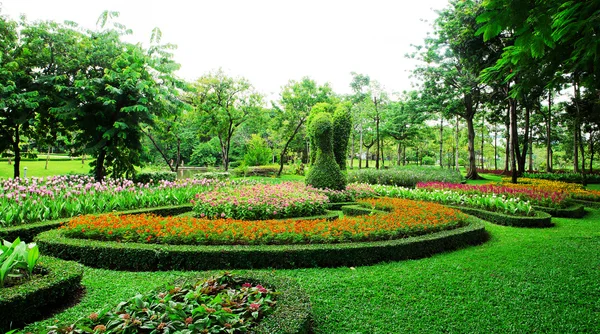 Colourful Flowerbeds