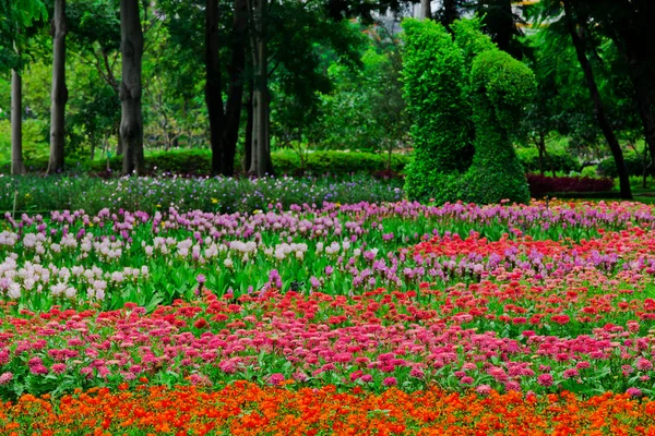 Farverige blomsterbede - Stock-foto
