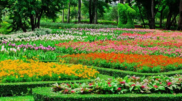 Camas de flores coloridas — Fotografia de Stock